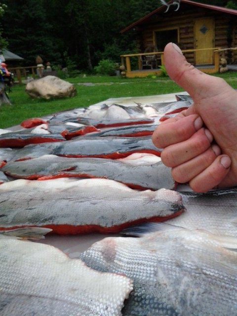 These salmon get a big thumbs up.
