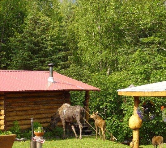 Must be lunch time.